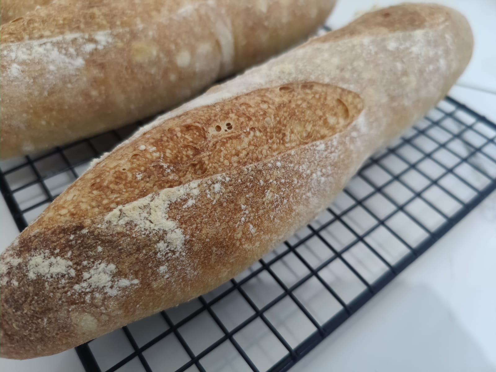 IMG-20220106-WA0046 IMG-20220106-WA0046