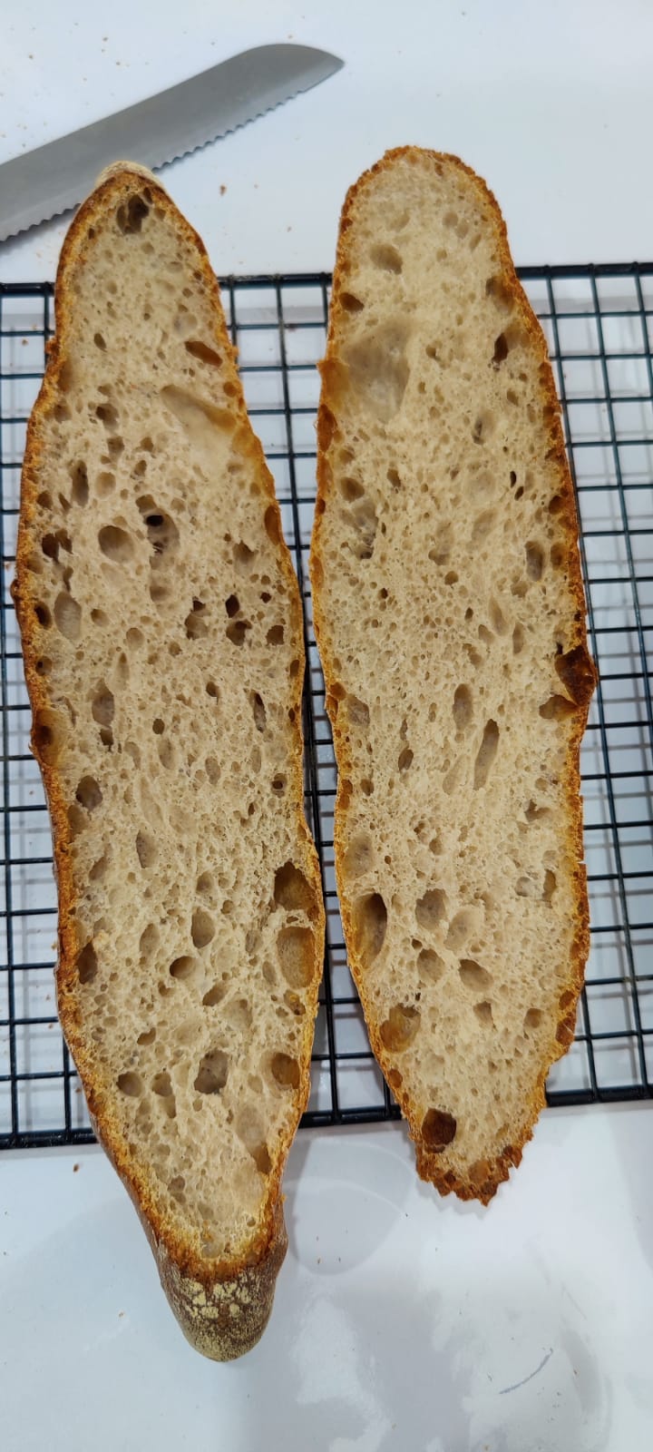 IMG-20220110-WA0021 IMG-20220110-WA0021